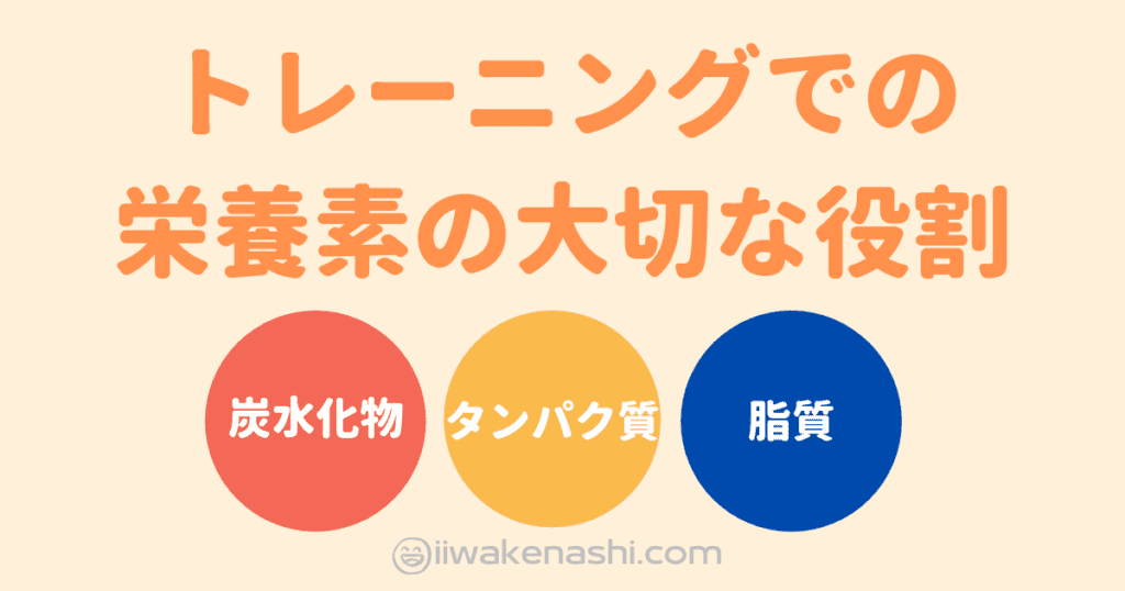 トレーニングでの栄養素の大切な役割